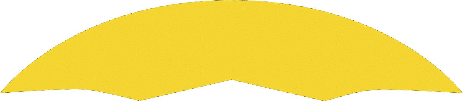 Polygon